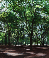 The Forest. Triptych